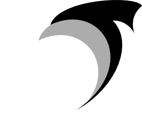 Flunky T-shirts Logo